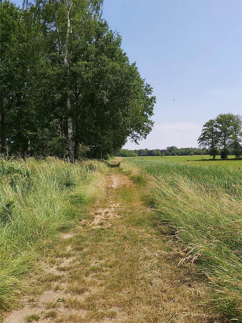 gruneveld7 gruneveld7